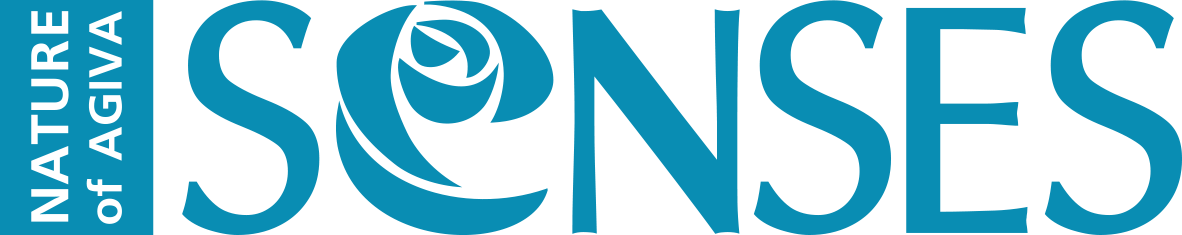 logo senses